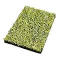 thumbnail image 4 of BELOVING DIY Miniature Flower Cluster Layout Decor for Model Train Dioramas Landscape Wild Chrysanthemum, 4 of 10