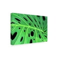 thumbnail image 2 of Kathie McCurdy 'Tropical Leaf' Outdoor Canvas, 2 of 3