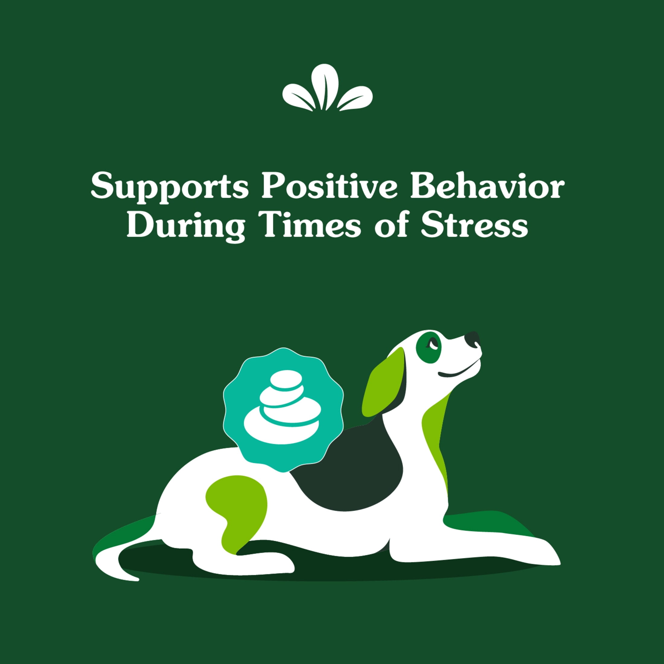 Greenies Supplements Calming Chews for Dogs Chicken Flavor, 7.3 oz Container of 40 ct. Soft Chews