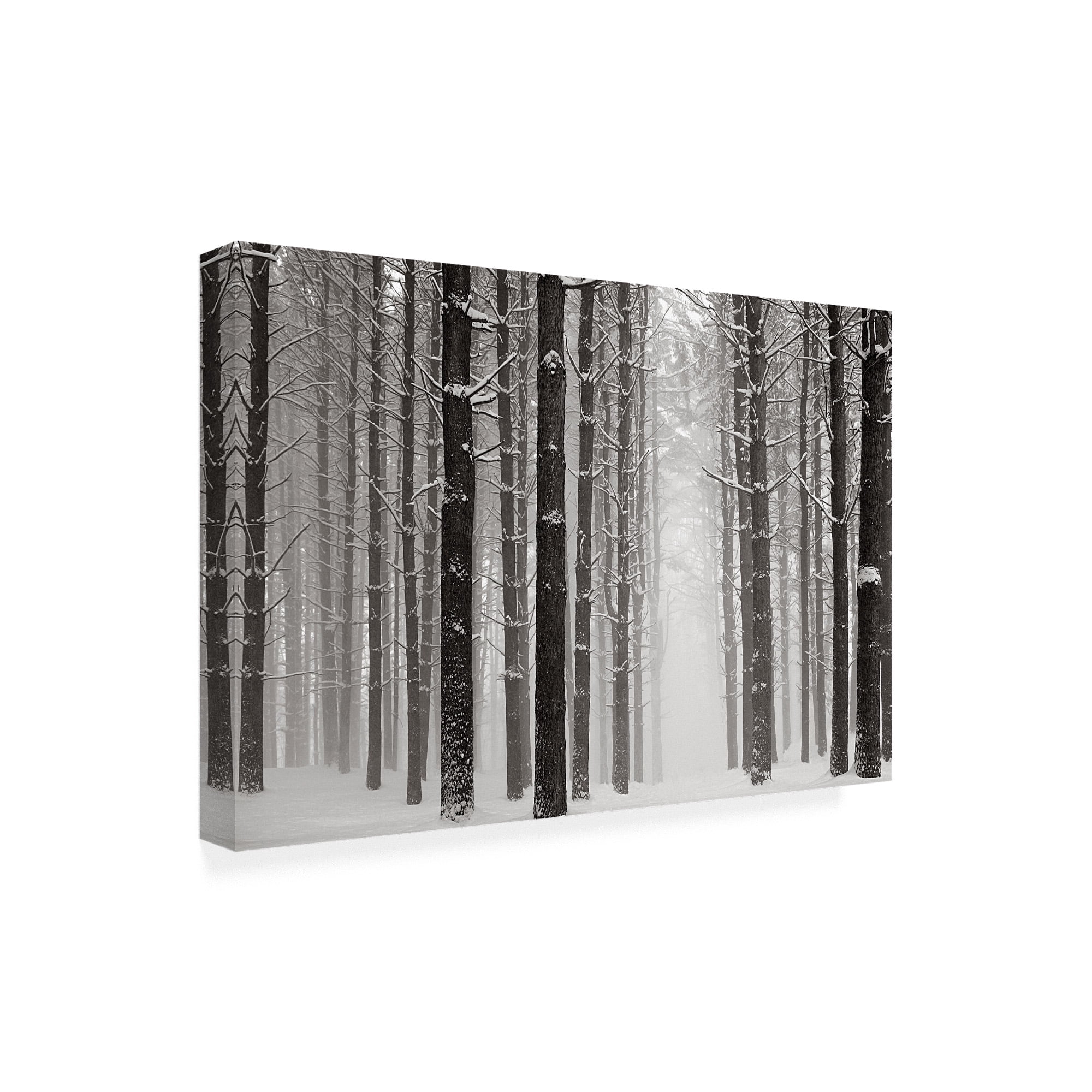 Trademark Fine Art 'A Snowy Walk V' Canvas Art by James McLoughlin