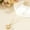 X2426, variant on Pearl Shell Starfish Conch Pendant Necklace