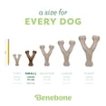 thumbnail image 4 of Juguete Masticable Wishbone Benebone Sabor Tocino MINI, 4 of 7