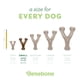 thumbnail image 4 of Juguete Masticable Wishbone Benebone Sabor Tocino MINI, 4 of 7
