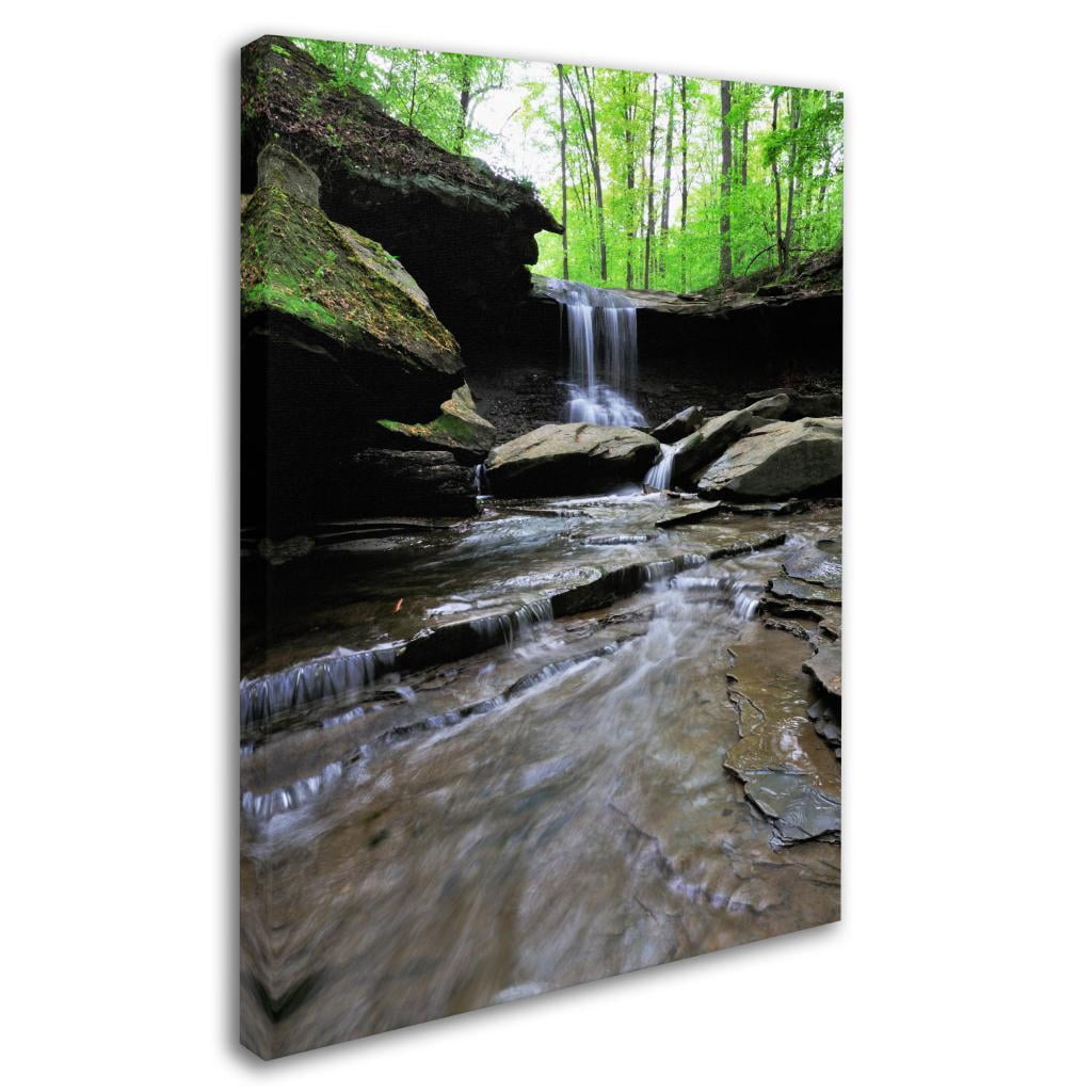 Trademark Fine Art "Blue Hen Falls in Spring" Canvas Wall Art by Kurt Shaffer