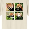 thumbnail image 2 of Screenshot Energy Meme Four-Panel Red Pandas Natural Graphic Tee-Large, 2 of 4