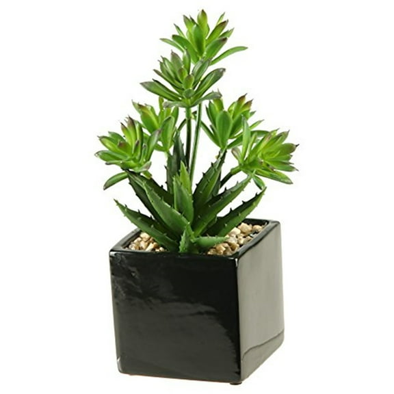 D&W Silks Mini Dracaena and Aloe in Square Ceramic Planter