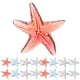 thumbnail image 1 of 40 adornos de resina en miniatura con forma de estrella de mar para decorar fundas de teléfono, accesorios para el cabello, proyectos creativos, pinzas para el cabello, 1 of 8