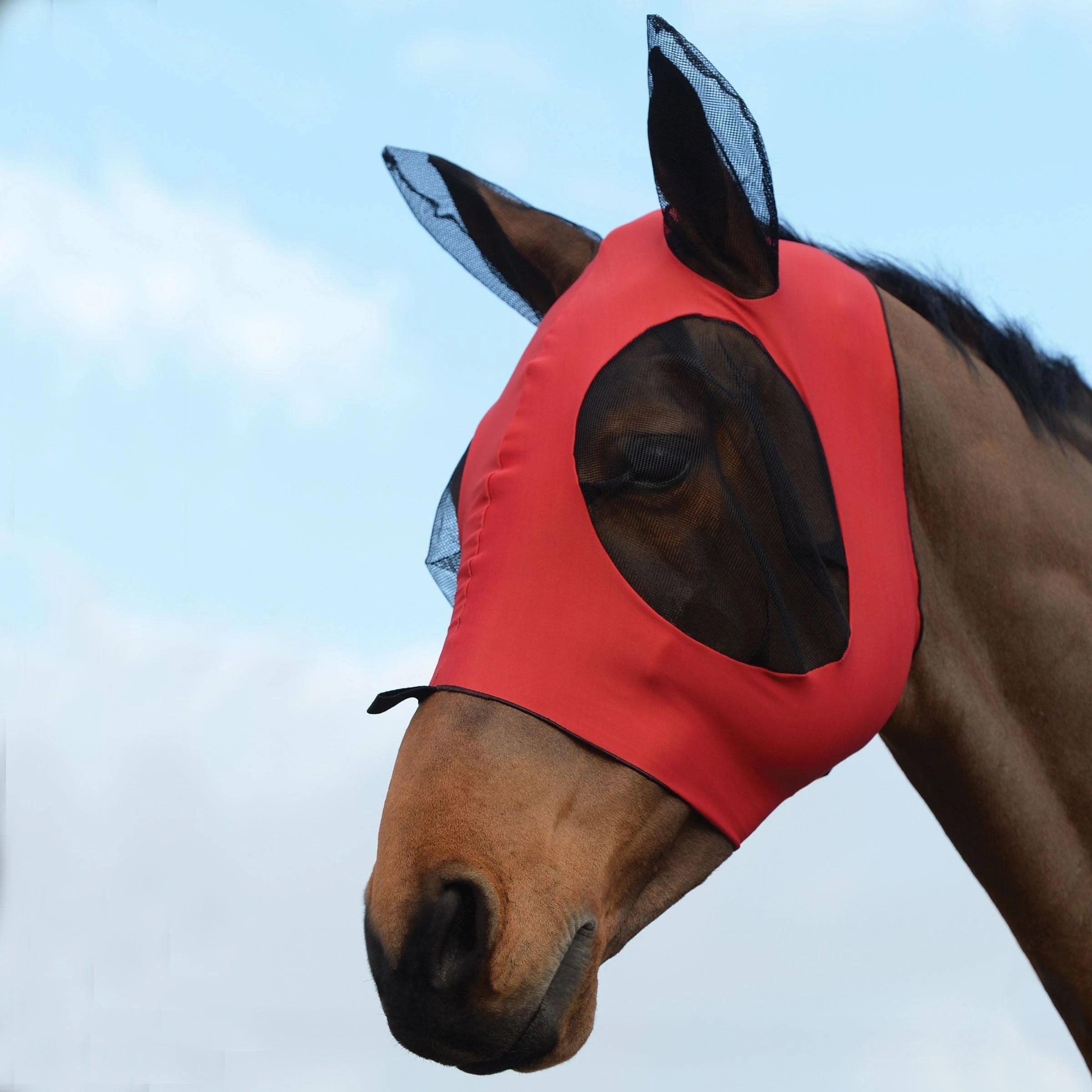 Turquoise Weatherbeeta Stretch Eye Saver With Ears Horse Healthcare Fly Mask 