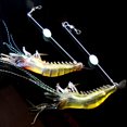 thumbnail image 2 of Señuelos de Agua Sunnimix Camarones Cebos Suave 9.4cm Plástico, 2 of 4