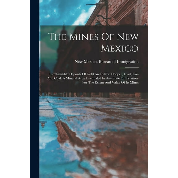 The Mines Of New Mexico, (Paperback)