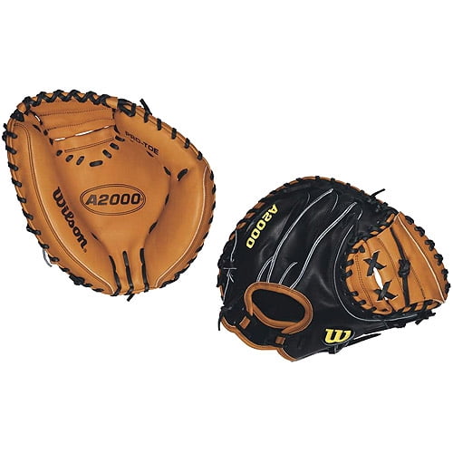 a2000 pudge catchers mitt