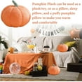 thumbnail image 4 of Muñeco de peluche de calabaza, regalo navideño, decoración navideña para el hogar., 4 of 7
