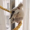 thumbnail image 4 of Bird Spiral Cotton Rope Climbing Standing Toy Bird Cage Accessories For Large Medium Small Parrots, 4 of 9