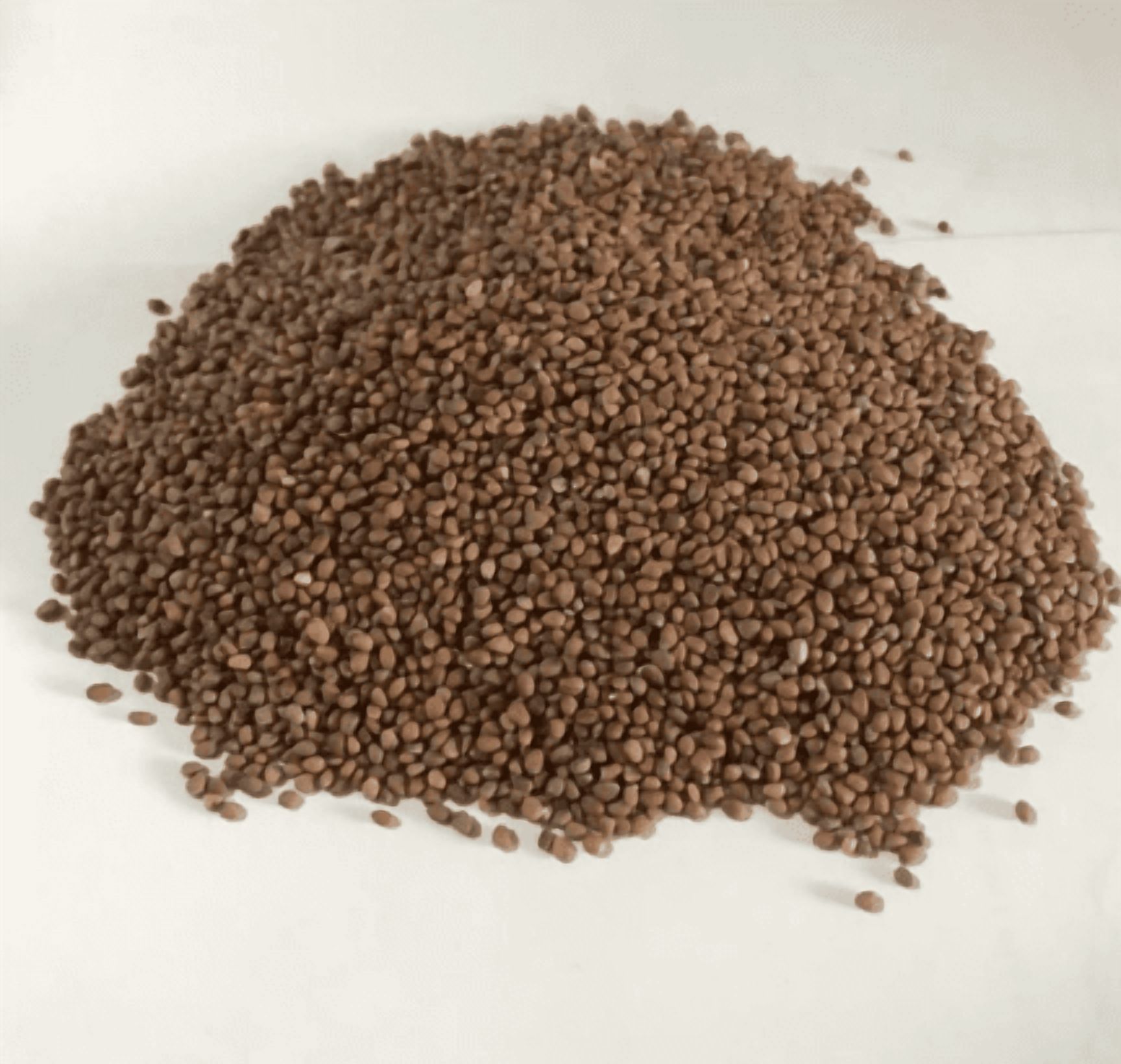 300 Seeds + Fish Mint Seeds for Planting, Houttuynia Cordata Seeds for Outdoor Garden, Easy to Grow