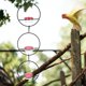 thumbnail image 2 of 3 comederos para colibríes de jardín, herramienta colgante para pájaros, comedero de agua moderno para colibríes., 2 of 7