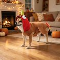 thumbnail image 7 of Dog Turkey Costume Pet Cosplay Hooded Outfit with Tail Medium Large Dogs Thanksgiving Halloween, 7 of 7