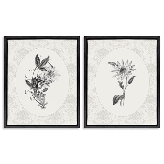 Stupell Industries French Country Vintage Flowers & Lace Black 2pc Floating Frame Art Set, 17 x 21 each, by CAD Designs