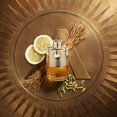 thumbnail image 3 of AZZARO WANTED by Azzaro , EDT SPRAY 0.5 OZ, 3 of 6