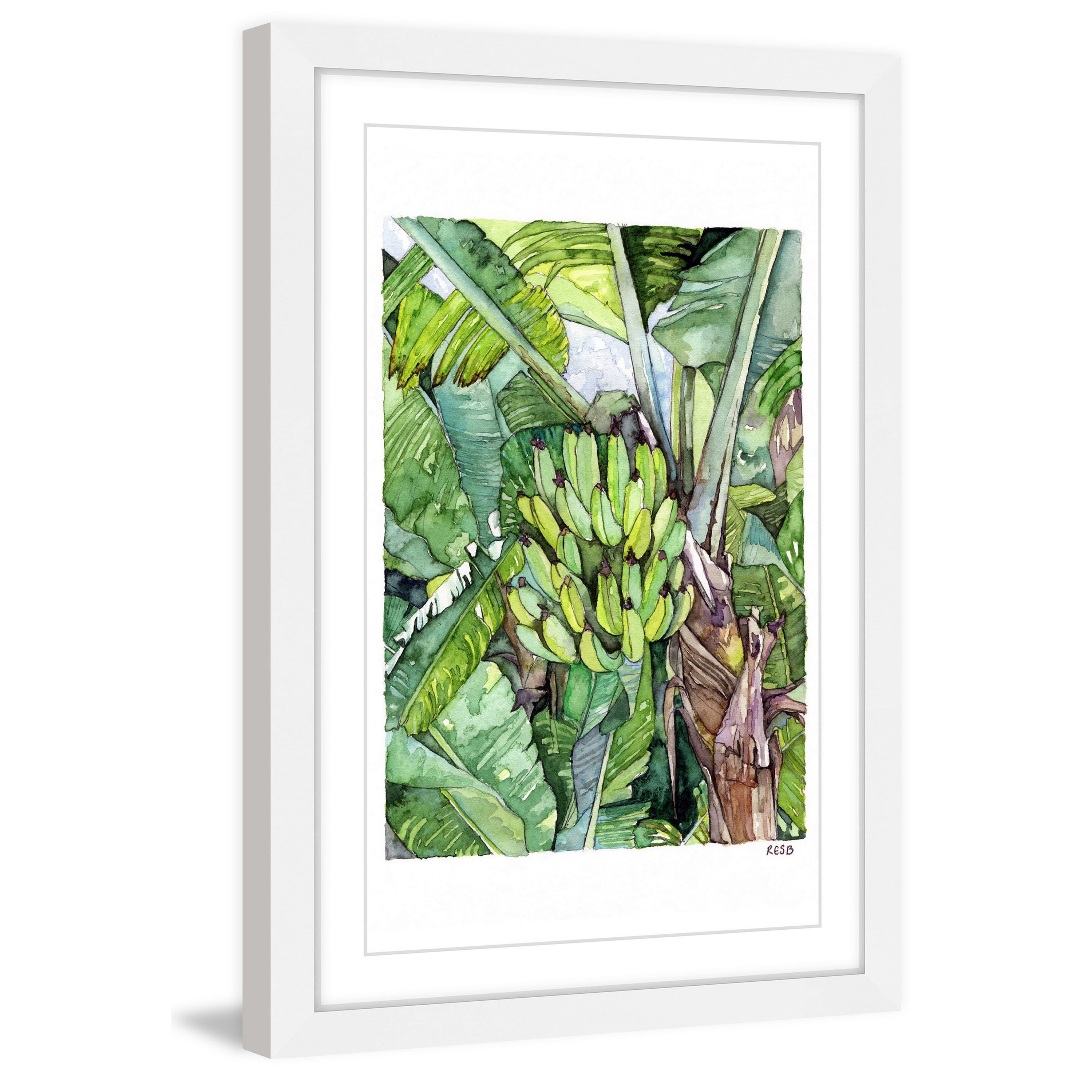 Marmont Hill "Banana Tree" by Rachel Byler Framed Painting Print