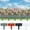 Black, variant on mtvxesu 10Pcs Plastic Garden Border Edging Fence For Grass And Flower Beds, 25X23 Cm, Flexible And Easy To Install, Diy Landscape Decoration For Yard Or Terrace