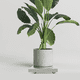 thumbnail image 4 of unbranded Soporte Para Macetas Con Y Antigoteo Beige Para Uso En Y Salón, 4 of 6