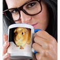 thumbnail image 2 of 3dRose, Guinea Pig, 15oz Two-Tone Blue Mug, 2 of 7