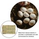 thumbnail image 5 of SWETRACE 4Ud Tapetes De Paja Para Gallinas Huevos En Huevera Material Natural, 5 of 6