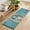 Portrait Frames And Gold Chains, variant on Bedroom Hallway Indoor Outdoor Mat With Rubber Backing Runner Rug Long Persian Pattern
