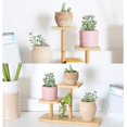 thumbnail image 5 of Soporte para plantas suculentas para escritorio, regalo para amantes de las plantas, estante decorativo de bambú de 3 niveles, que ahorra espacio, estructura fuerte y resistente para uso en, 5 of 5