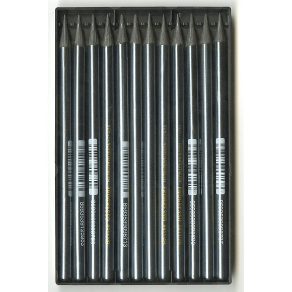 Koh-I-Noor Progresso Set Crayon Graphite Sans Bois, 6 Degrés, 2 Crayons par Degré, 12 Crayons (FA8911.12)