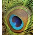 thumbnail image 2 of Funda nórdica Twin, pluma de pavo real con forma de ojo Imagen de cerca, 2 of 6