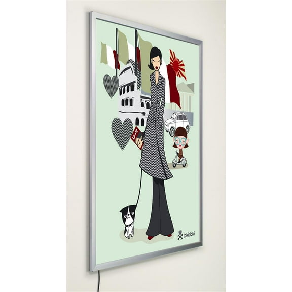 Slim Light Box Poster Frame for 24 x 36 Graphics, Mounts Either Vertically or Horizontally to a Wall, Front-loading Sign Holder with Hinged, Snap-open Edges, Silver, Aluminum (LEDEC2436S)