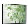 thumbnail image 2 of Designart "Bamboo love Dream VII" Floral Floater Framed Canvas Art Print, 2 of 7