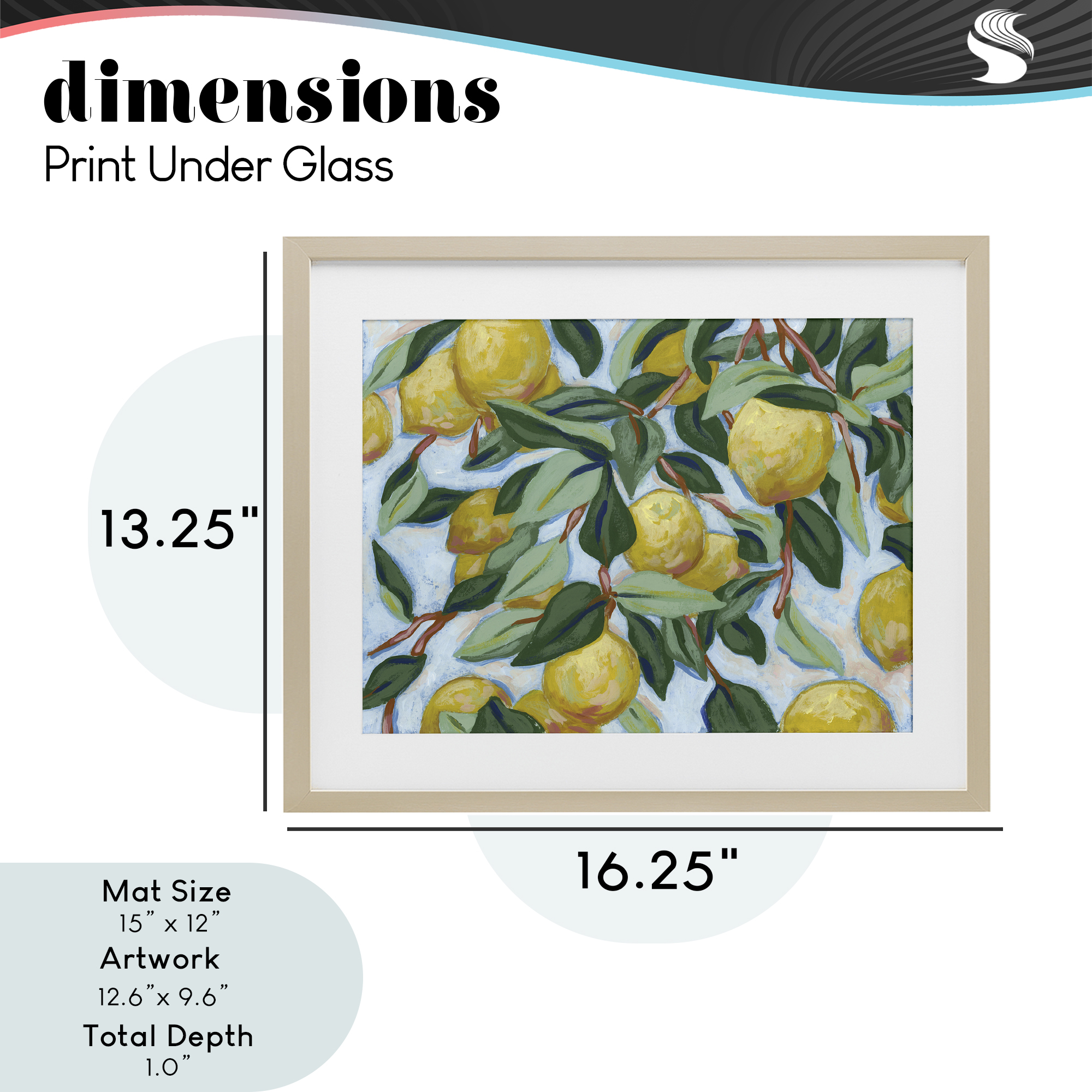 Stupell Industries Summer Citrus Tree Birch Framed Print Under Glass, design by June Erica Vess