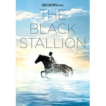 MGM - The Black Stallion [DIGITAL VIDEO DISC]