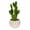 Green, variant on Craftoutlet.Com 10.00In Green Potted Cactus, Plastic, Succulents Realistic Look 191610 Green