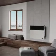 thumbnail image 2 of Ashley Hearth 25,000 BTU Direct Vent Propane Wall Heater, Model DVAG30L, Cream, 2 of 6