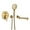 Brushed Gold, variant on Rainlex One-Handle 1-Spray Setting Matte Black Bathtub Shower Faucet