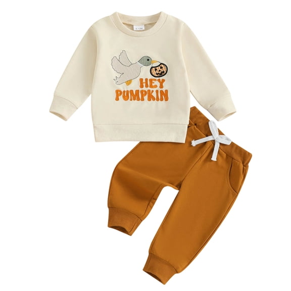 Dmsael Boys Clothes Toddler Sweatshirts 2 Piece Top & Pants Kids Long Sleeve Fall Pullover and Joggers School Outfits Sets (White,0-6 Months)