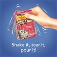 Purina Friskies Gravy Sensations Seafood Pouches, Wet Cat Food Variety