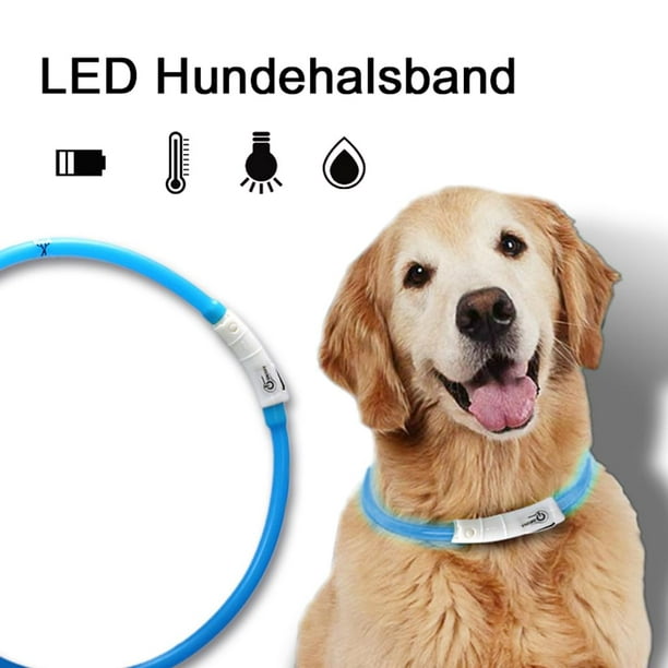 LED-Hundehalsband-Tractive