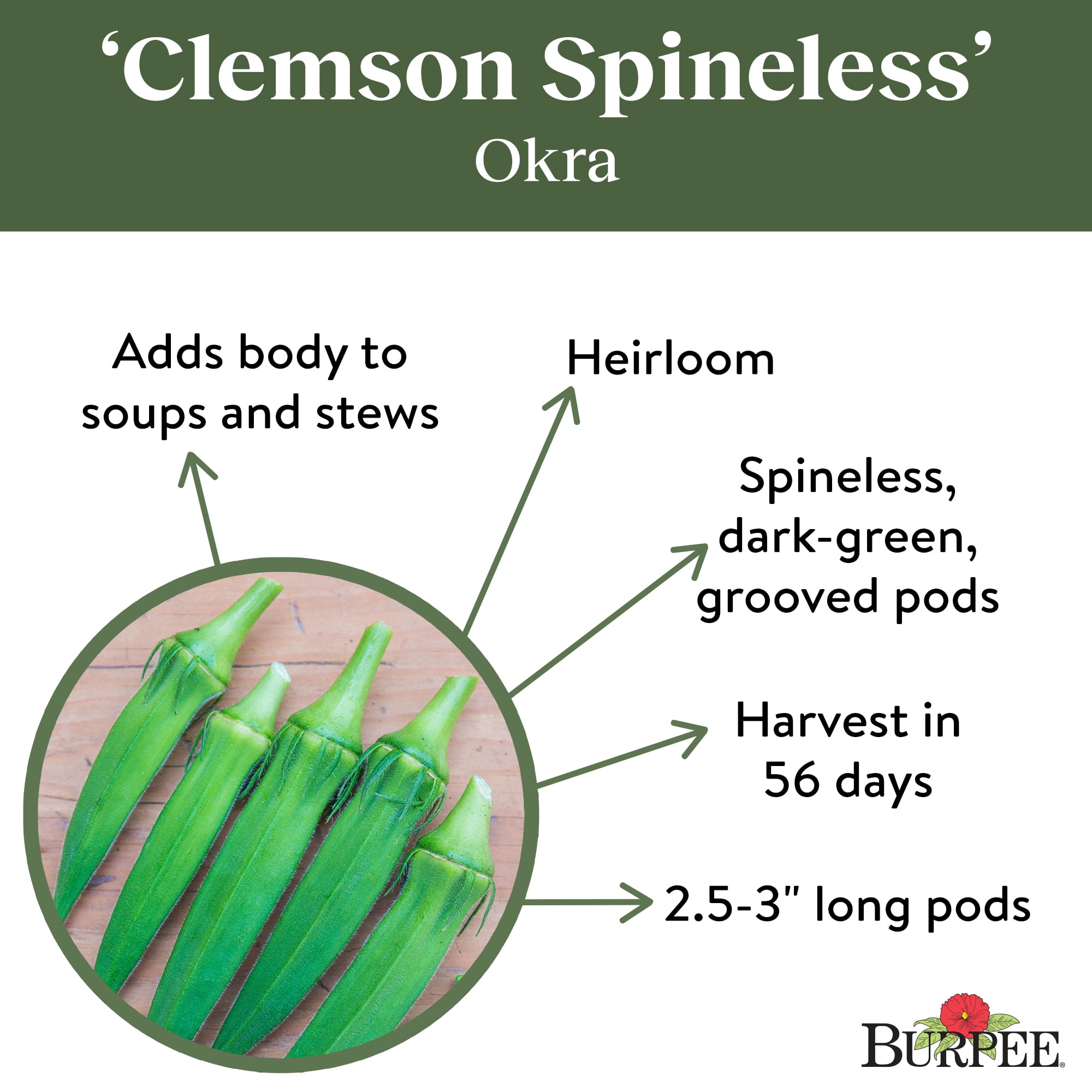 Burpee Clemson Spineless Okra Vegetable Seed, 1-Pack