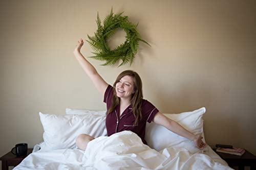 Premium Polyester Fill Body Pillows -Pillow Size 20 inches x 60 Inches