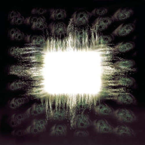 tool aenima album cover 500x500 tool aenima album cover 500x500