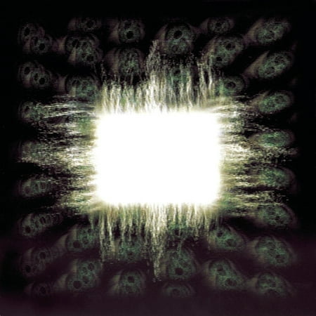 Tool - Aenima (Explicit) (CD) (Best Cd Ripping Tool)