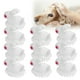 thumbnail image 5 of Cepillo De Aseo Para Perros Cepillo De Champú Para Mascotas Suave Blanco Con Forma De Conejo Para Perros ANGGREK Otros, 5 of 8