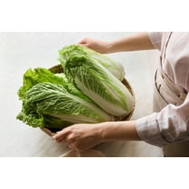 500 Seeds MICHIHILI CABBAGE Chinese Bok Choy Pak Choi Celery Mustard Chard Brassica Vegetable Seeds