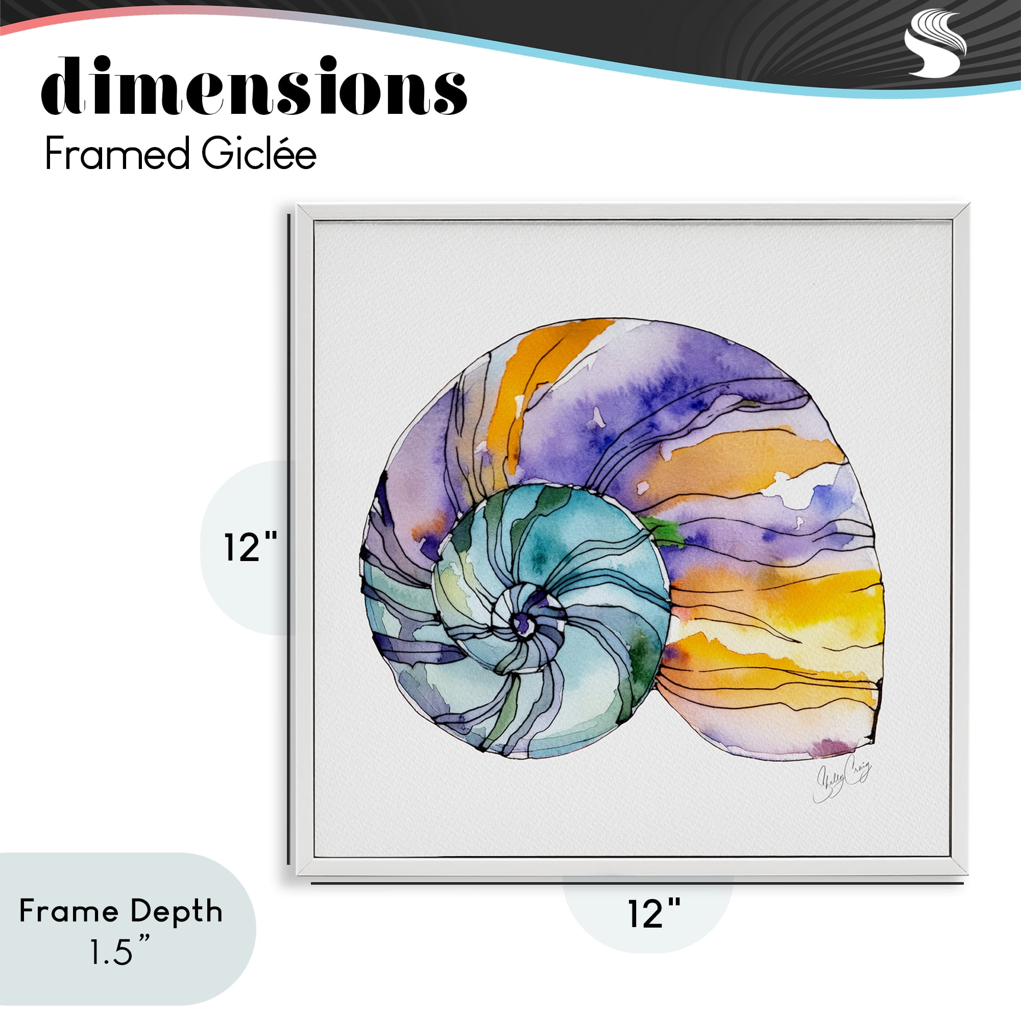 Stupell Industries Sunlit Striped Nautilus White Framed Giclee Art, design by Shelly Craig