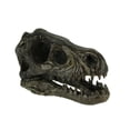 thumbnail image 1 of Velociraptor Dinosaur Head Fossil Statue Small 6.25 Inches Long, 1 of 4