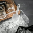 thumbnail image 6 of Thyme, Ice Cube Tray, & Table New Ice Tray Mold Set with Scoop, Black, convenient for portable cold storage., 6 of 6